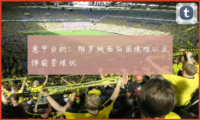 意甲分析：维罗纳面临困境难以反弹前景堪忧