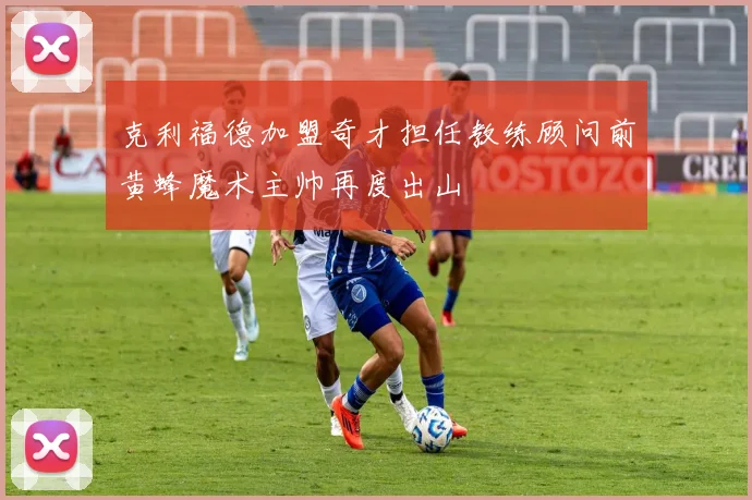 克利福德加盟奇才担任教练顾问前黄蜂魔术主帅再度出山