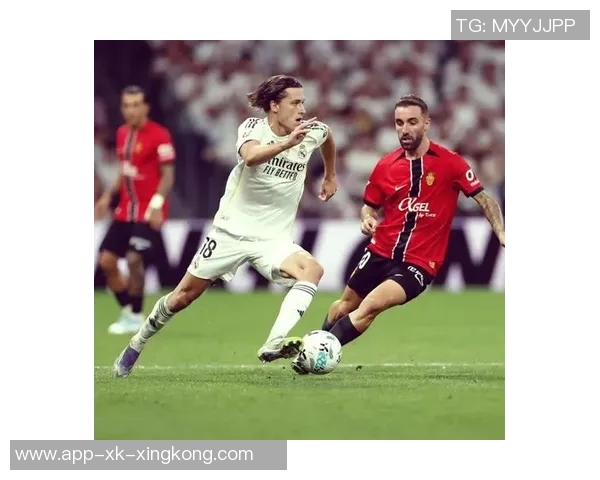 水晶宫追逐19岁荷兰新星斯米特面临曼联皇马强劲竞争